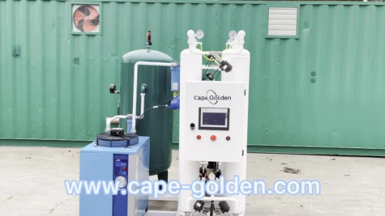 Oxygen Generator Psa Filling Production Plant India Cost for Sale
