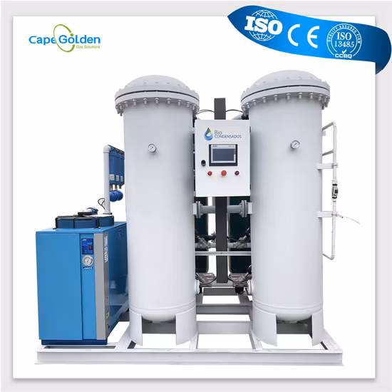 Skid-Mounted Medical Hospital Use Psa Oxigen Producing Machine Oxygen Cylinder Filling Plant Price